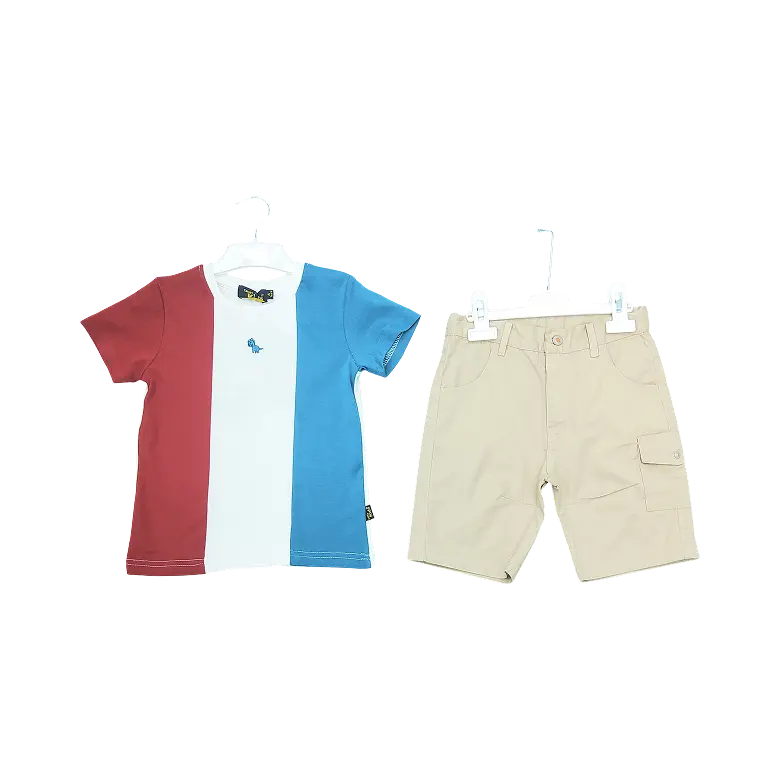 Casual Tshirt & Shorts Set