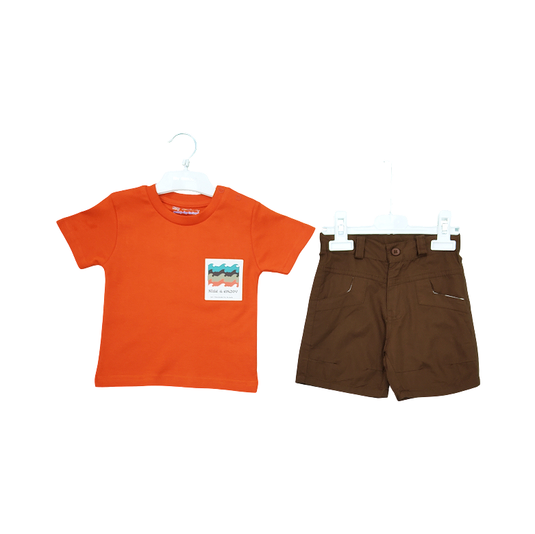Casual Tshirt & Shorts