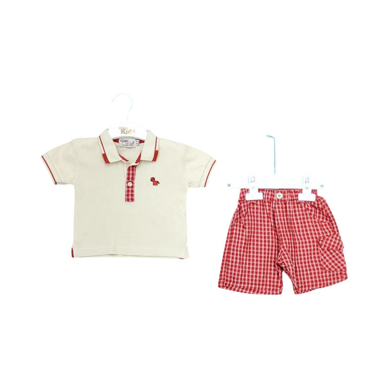 Casual Tshirt & Shorts